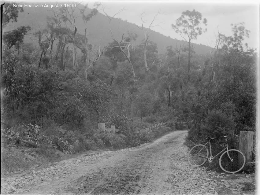 bicycle-near-healsville-1900.jpg