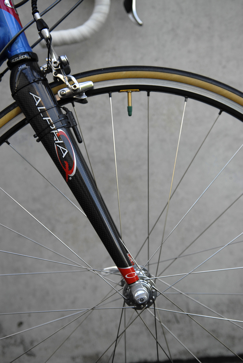 Alpha Q carbon fork
