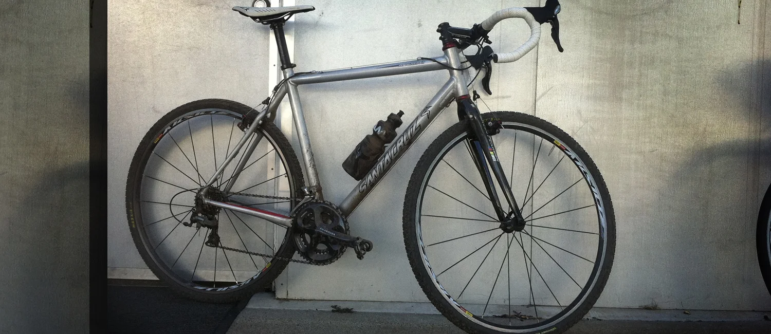 Dazza's Santacruz Stigmata