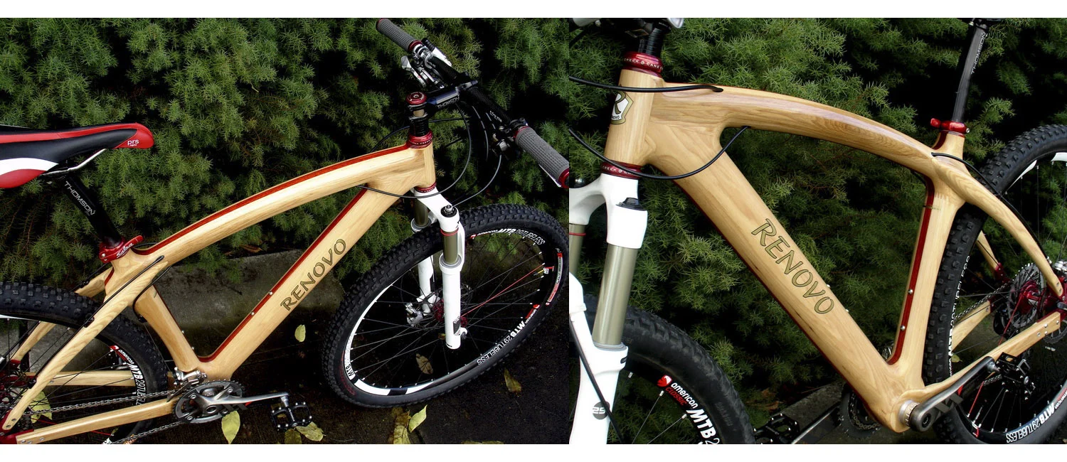 Renovo Badash M-1 29er MTB