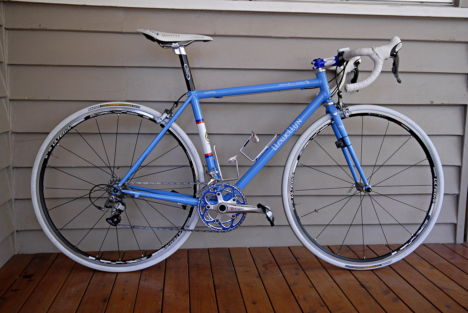 Caskey's Llewellyn bik