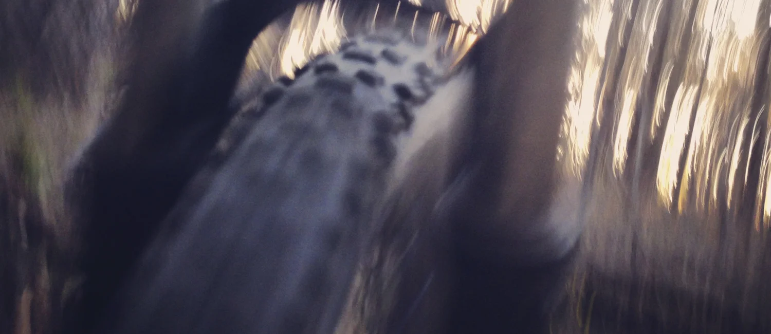 UCI MTB World Championships 2011 Champéry Switzerland Danny Hart