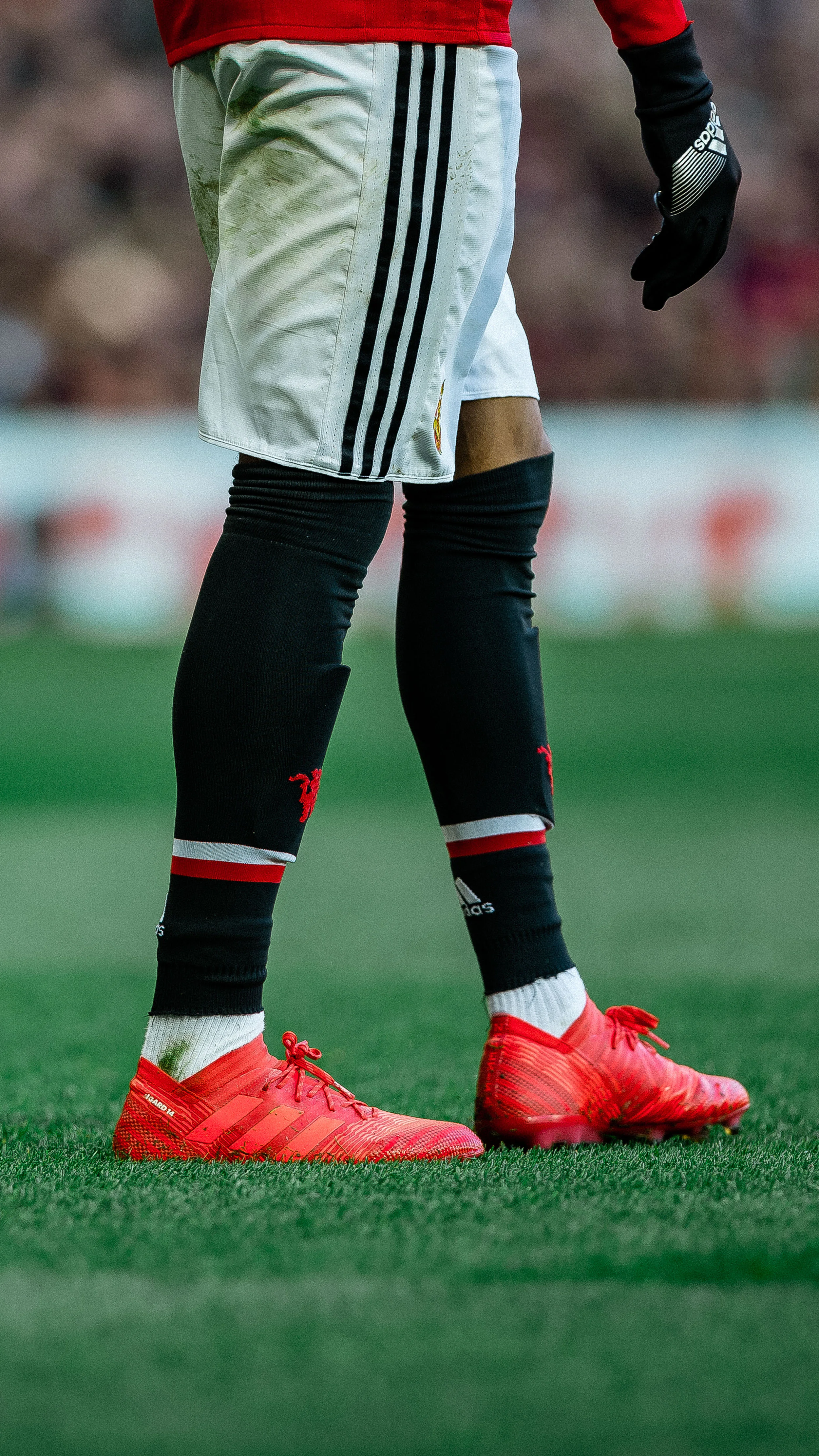 lingard nemeziz