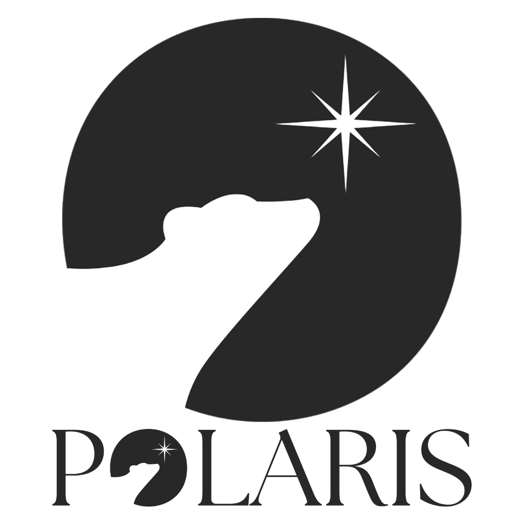 POLARIS.png