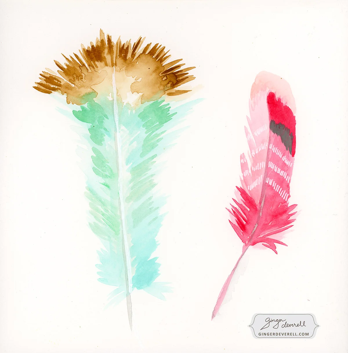 wild feathers