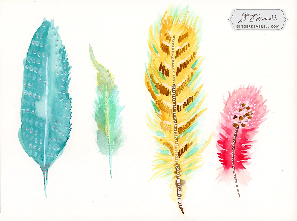 wild feathers
