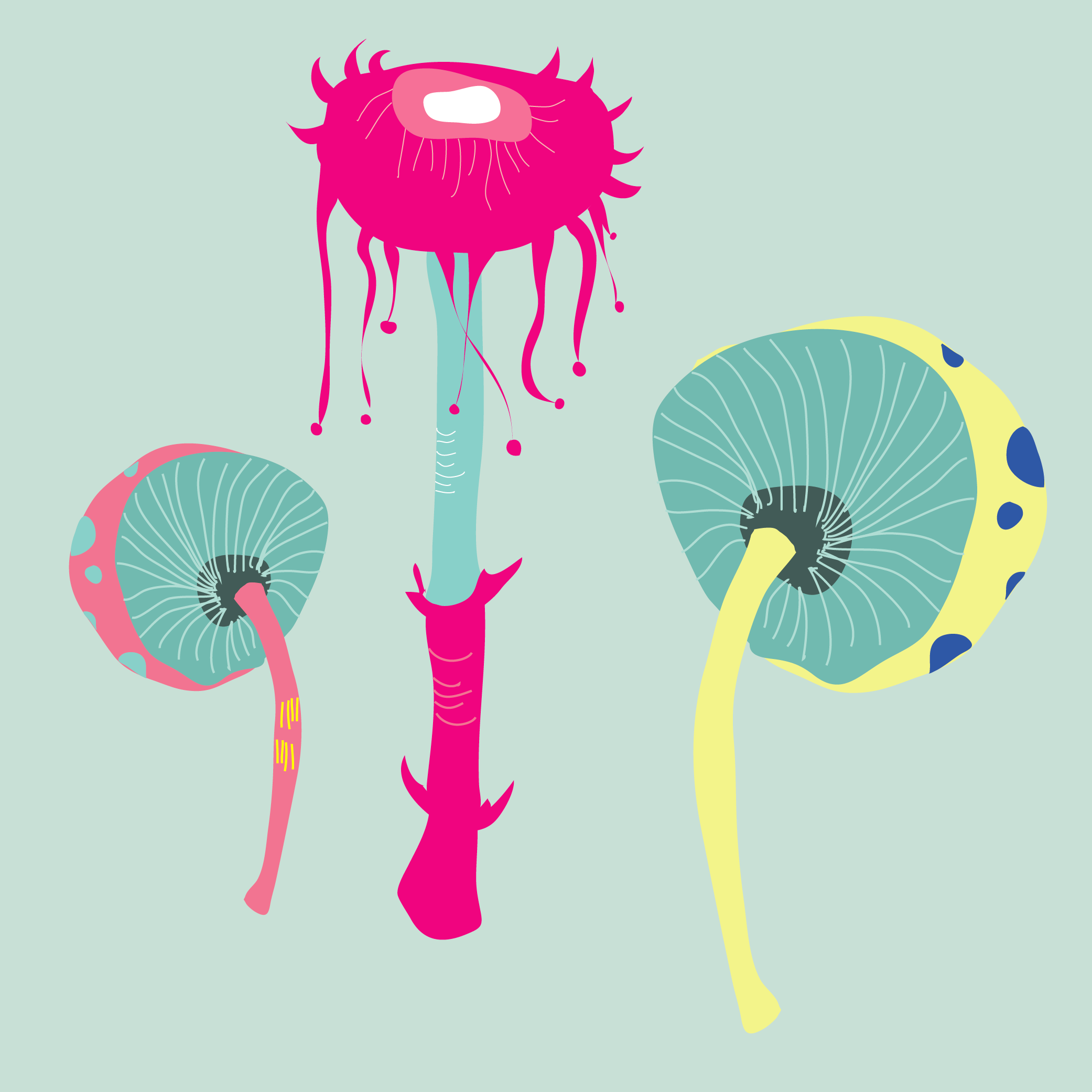 Mushroom-Pattern-01.png