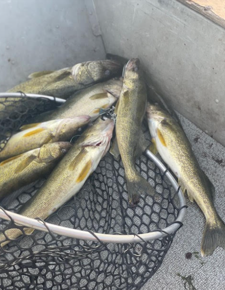 Fishing 12.PNG