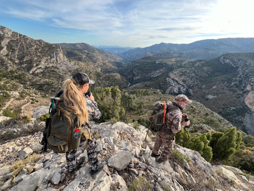 Glassing for ibex.PNG