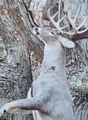 Bob's best buck with a 30-30.png