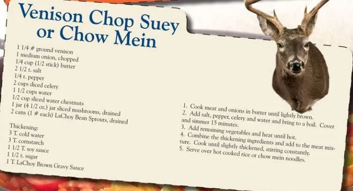 Venison Chop Suey or Chow Mein.JPG