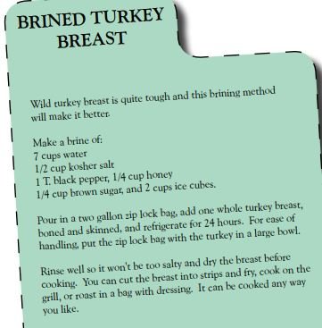 Brined Turkey Breast.JPG