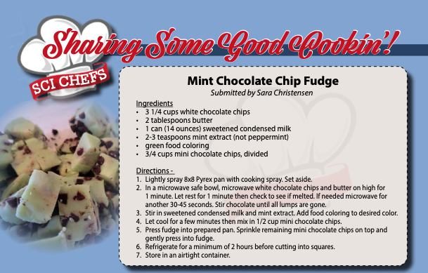 Mint Chocolate Chip Fudge.png