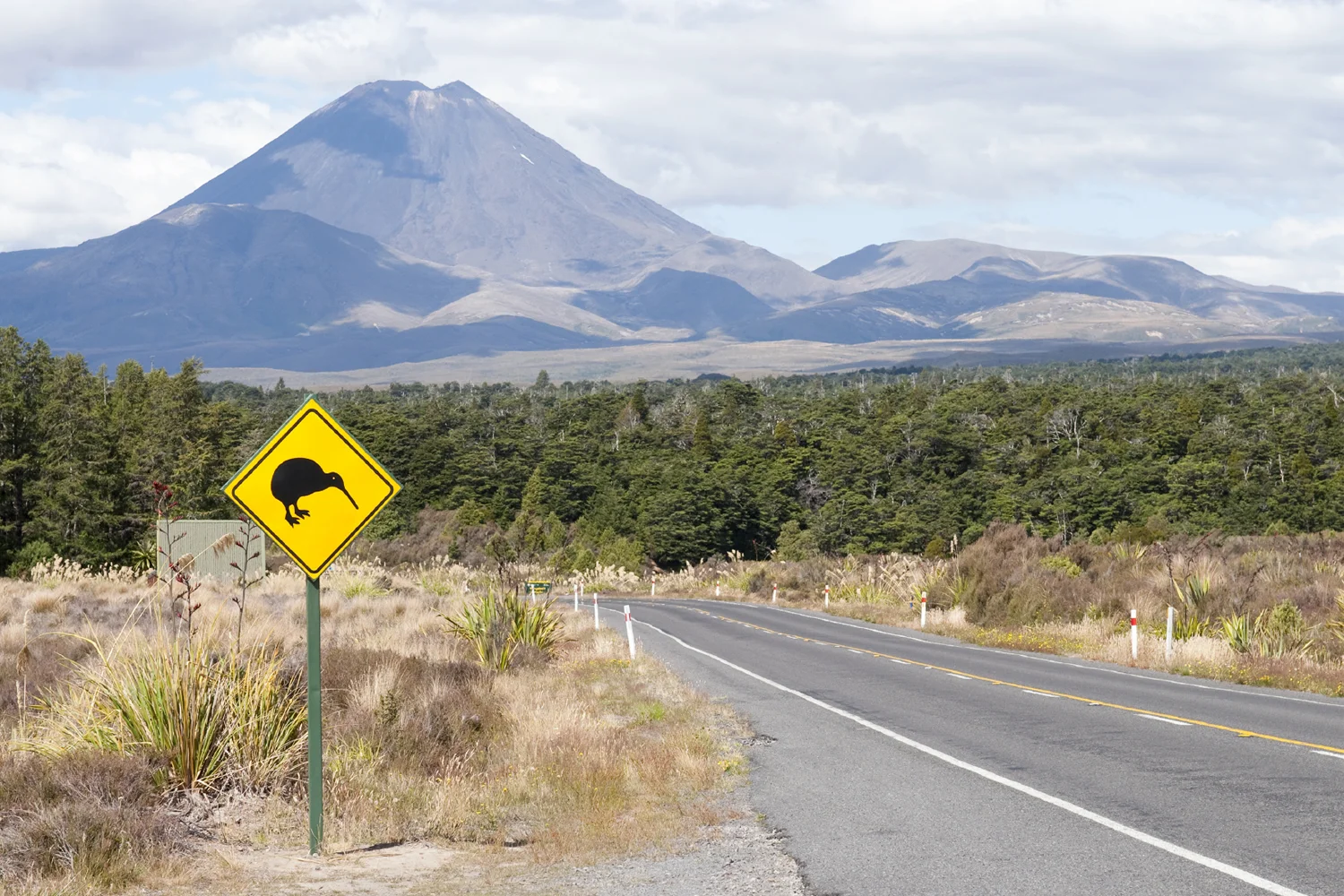 working-in-nz.jpg