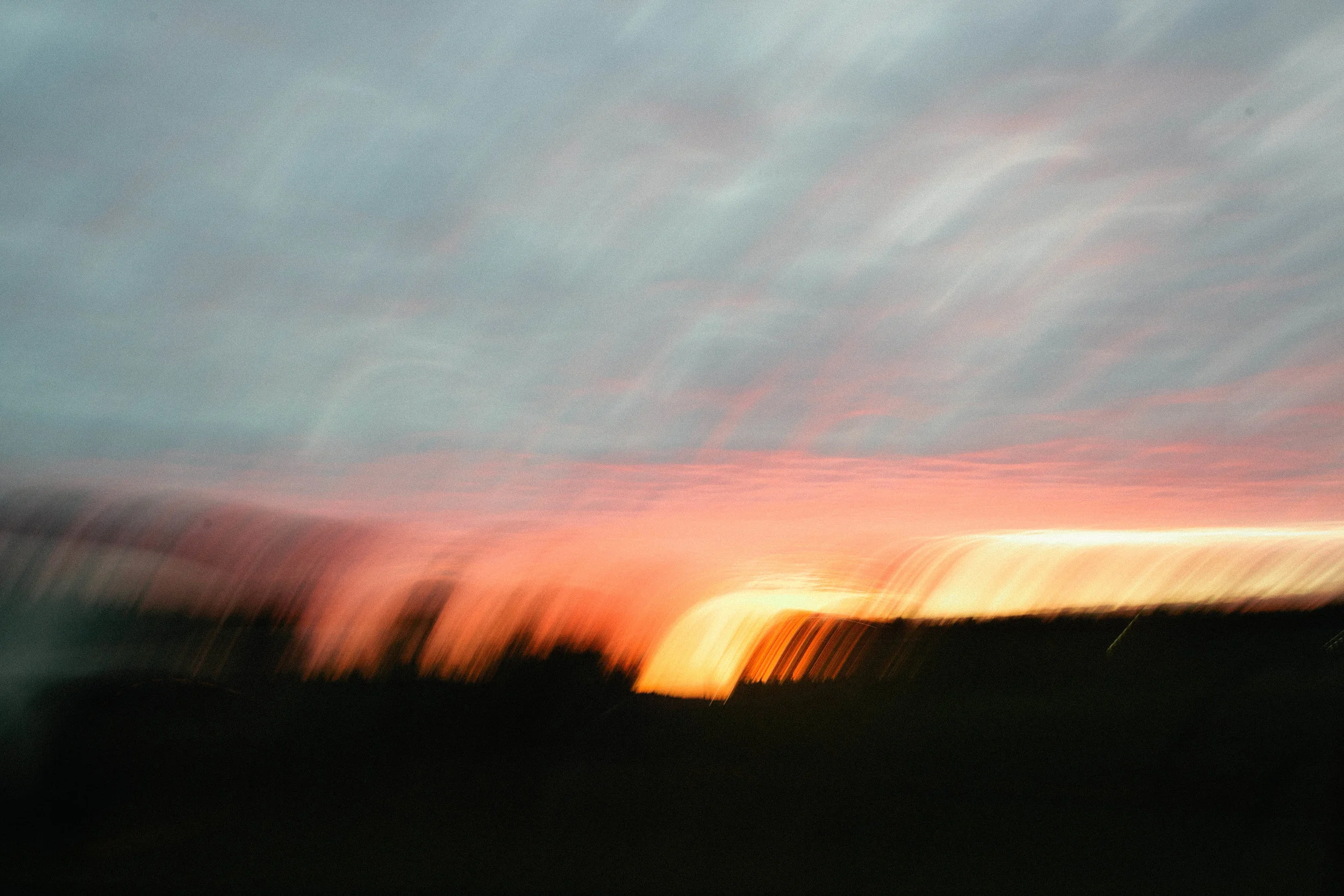 IMG_7495.jpg