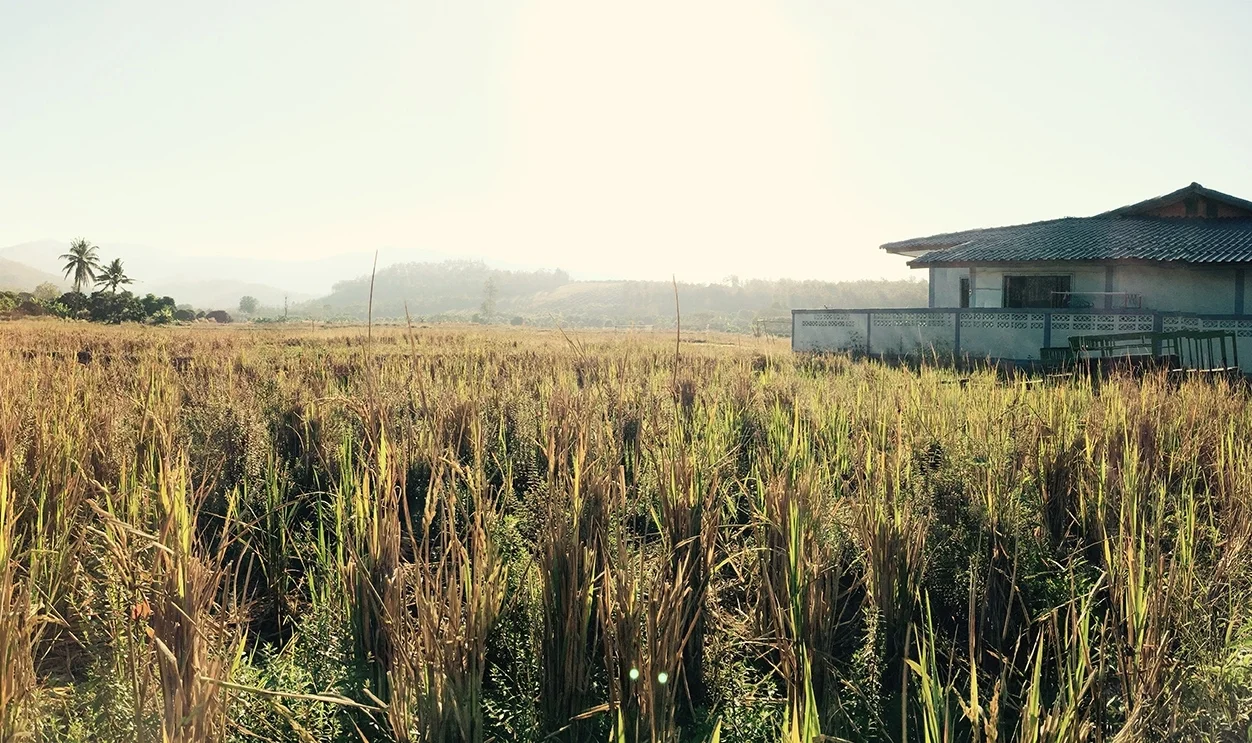 rurla-thailand-2.jpg