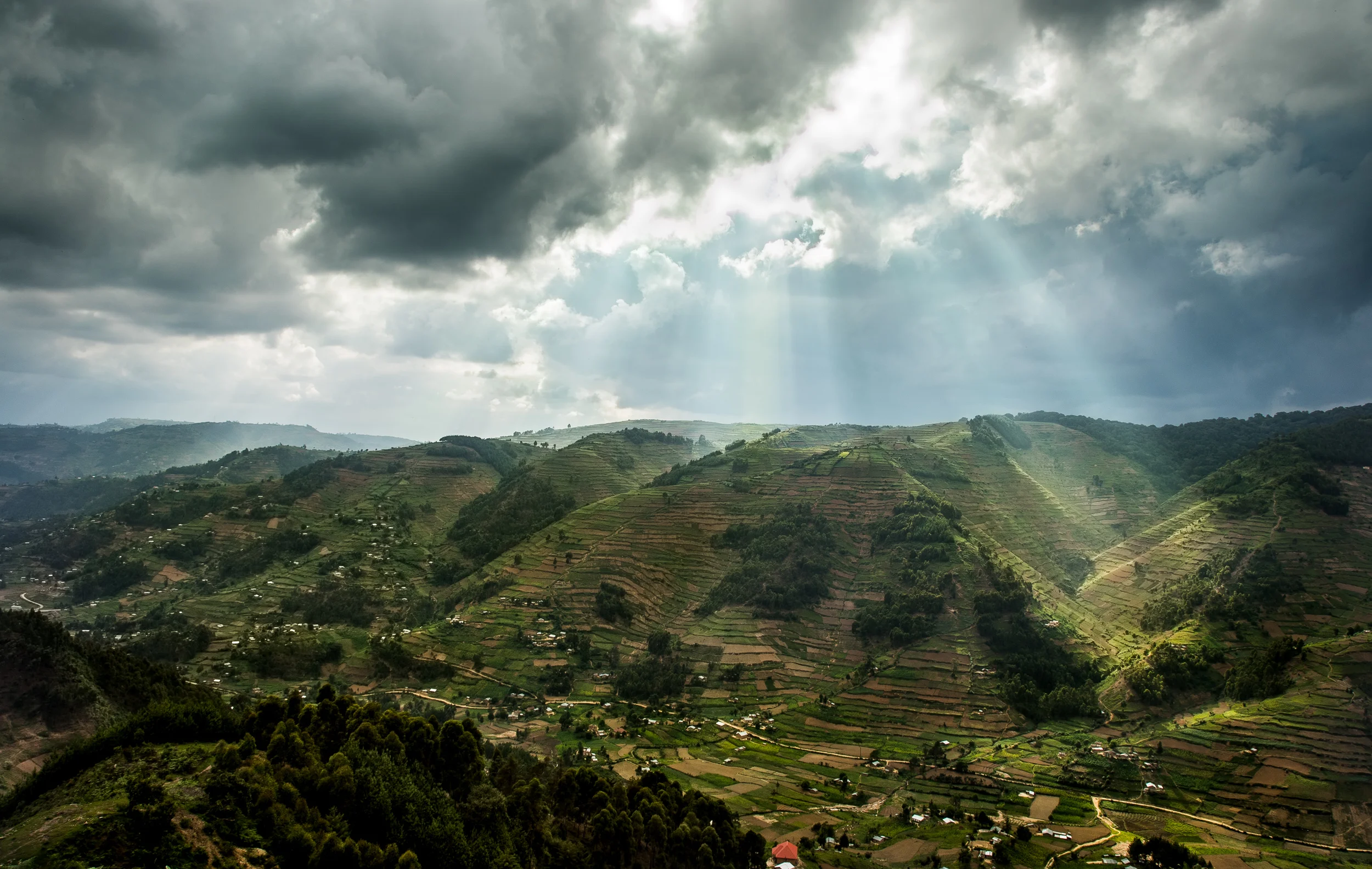 DSC01512-2-Edit.jpg