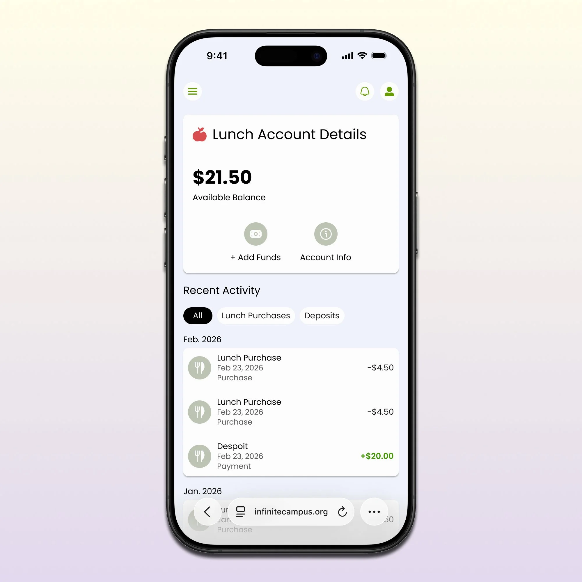 Inifinite Campus Lunch Account Details Hero Image