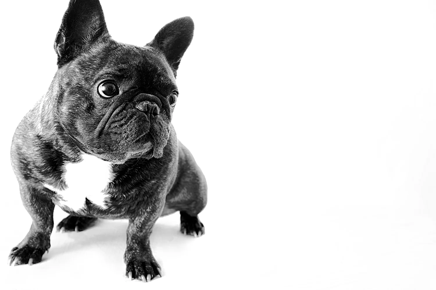 DSC_3966 as Smart Object-2.jpg