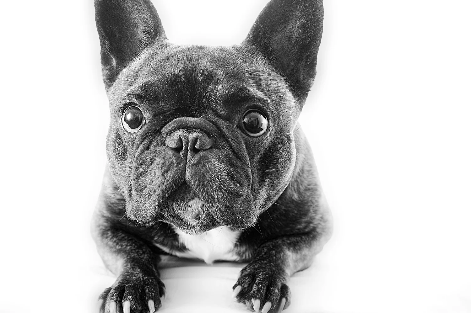 DSC_3996 as Smart Object-1.jpg