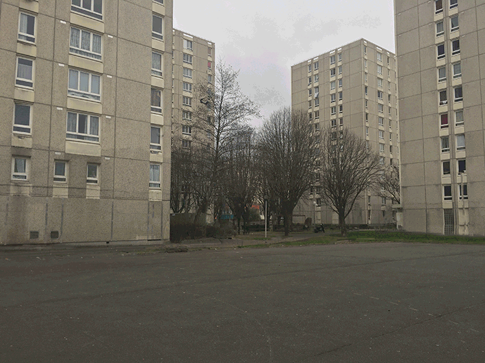 Transform'actions d'un parking en jardin