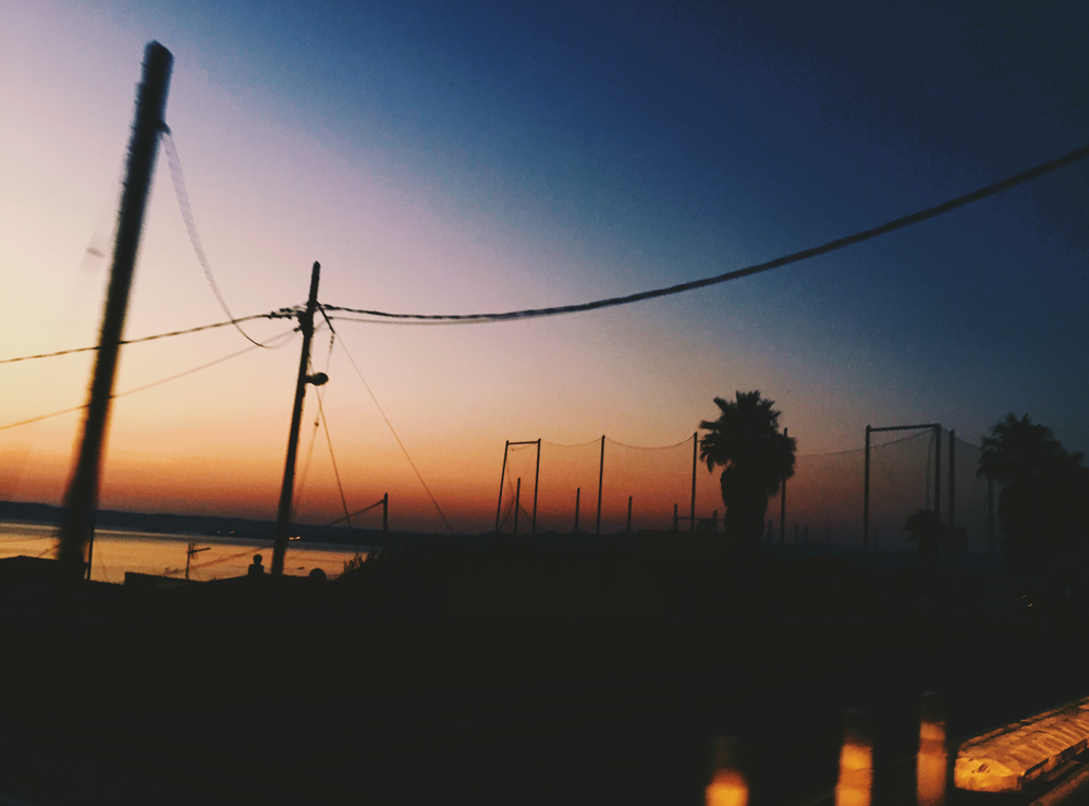 IMG_1341.png