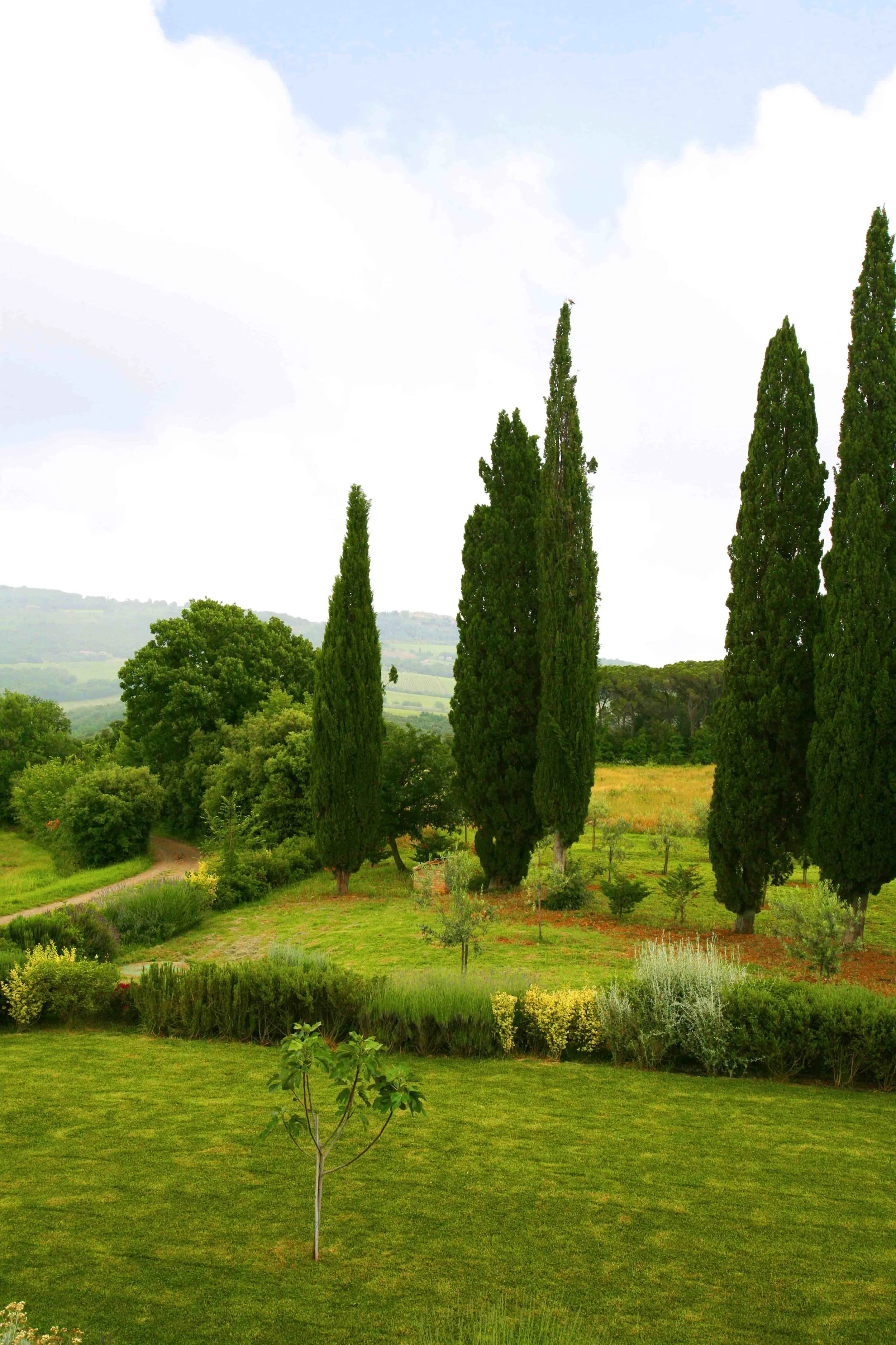 Esterno_giardino (7).jpg