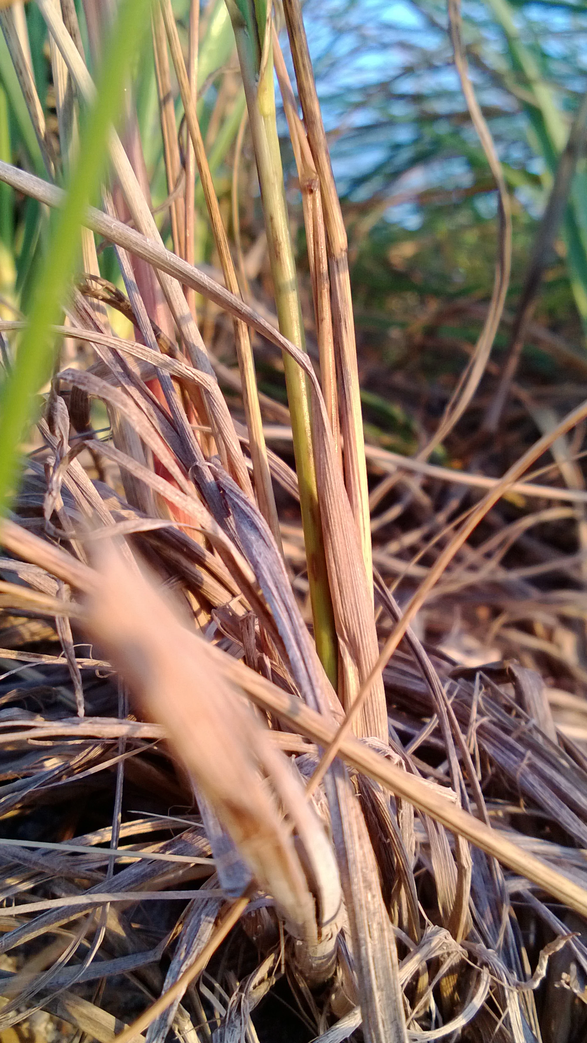 WP_20131006_007.jpg