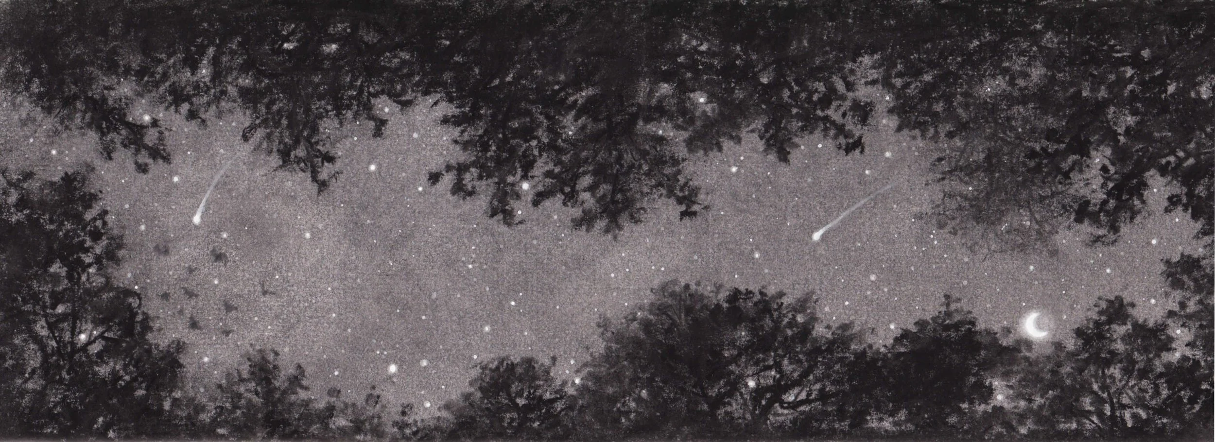 Chapter 12 Starry sky.jpg