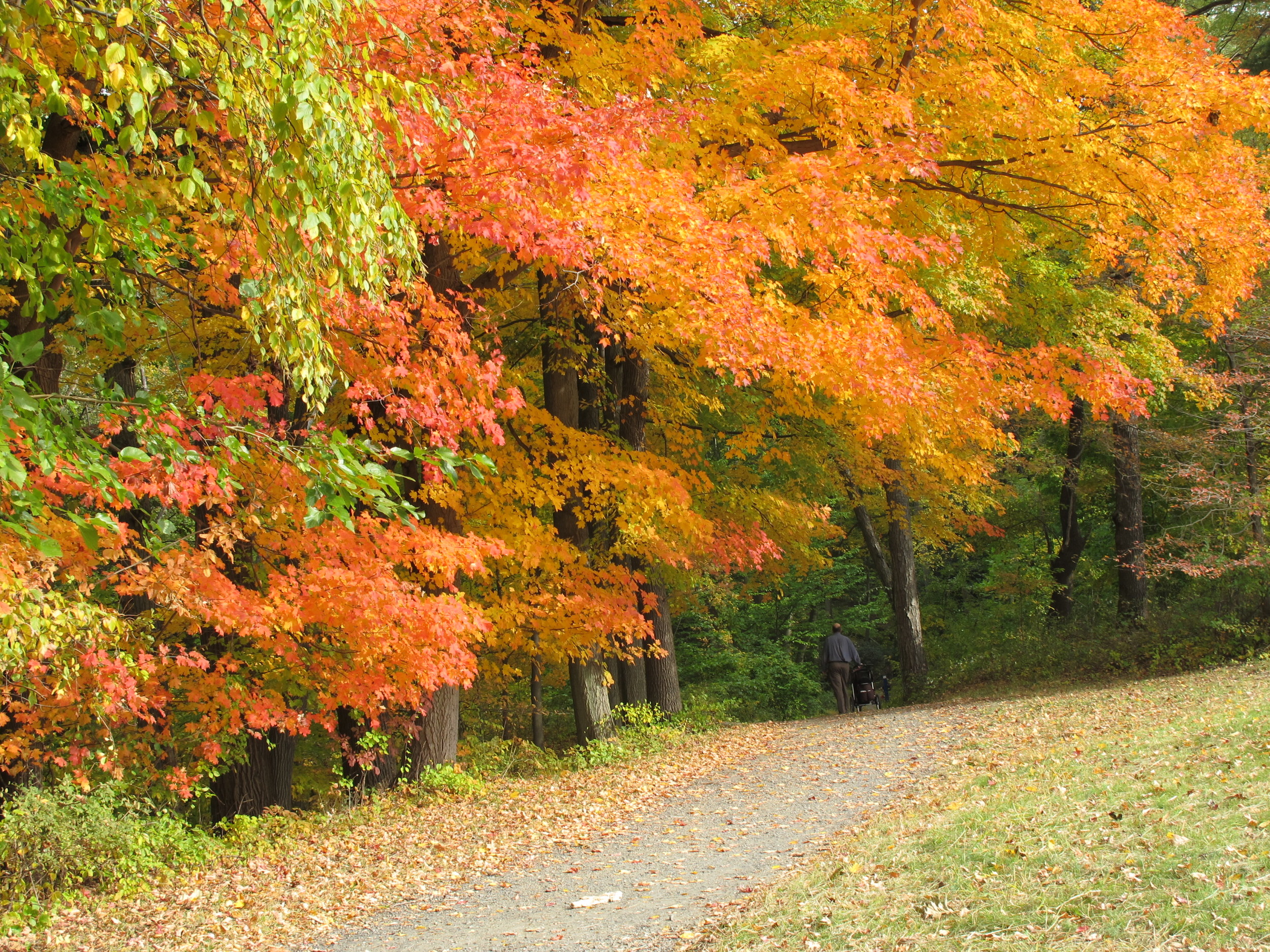 Path along northern edge of Rockwood Park