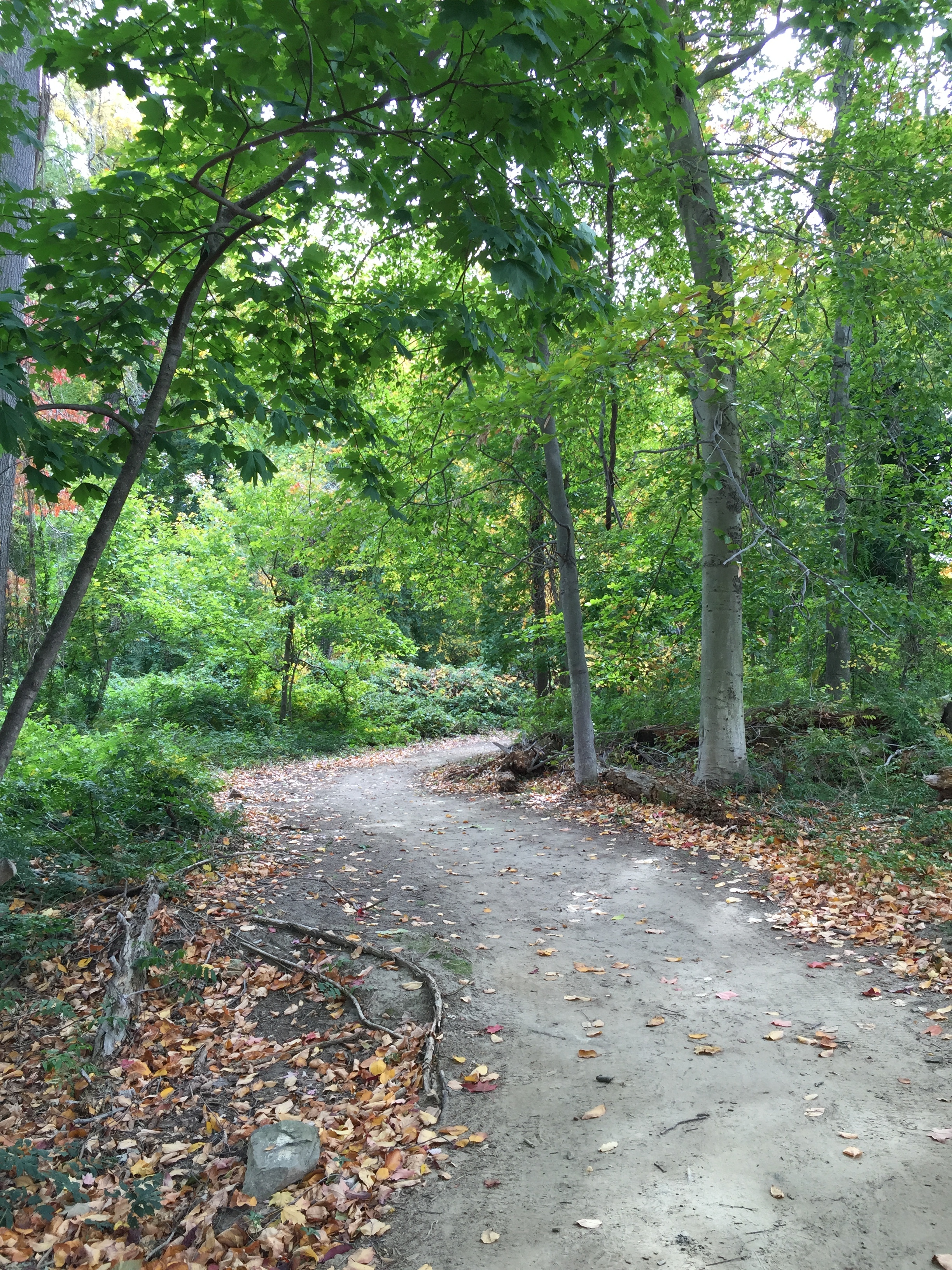 Part of Hudson River Walk on Kendal property