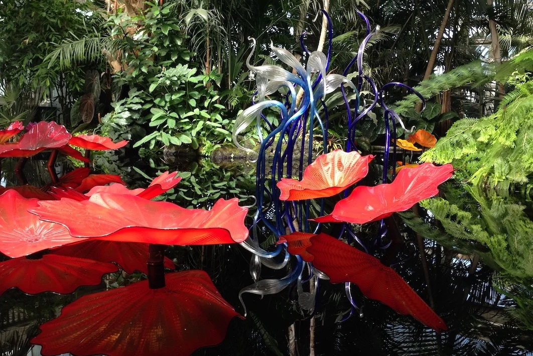 Chihuly 4.JPG