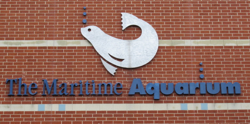 01 Maritime Aquarium.JPG