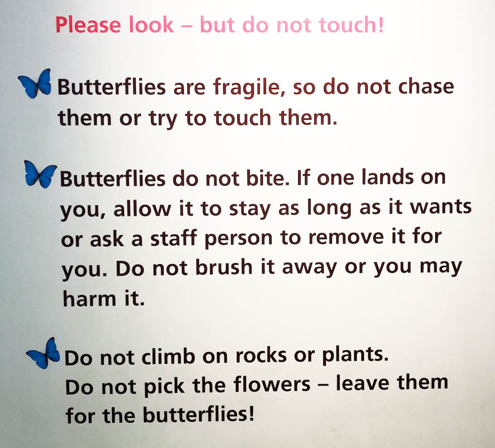 sign for butterflies.jpg