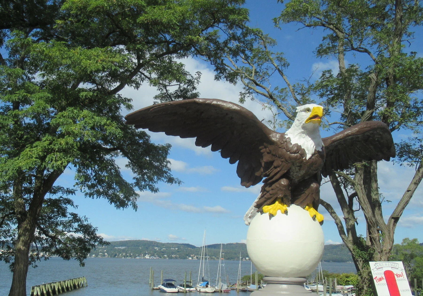 Eagle at Phillips Manor.JPG