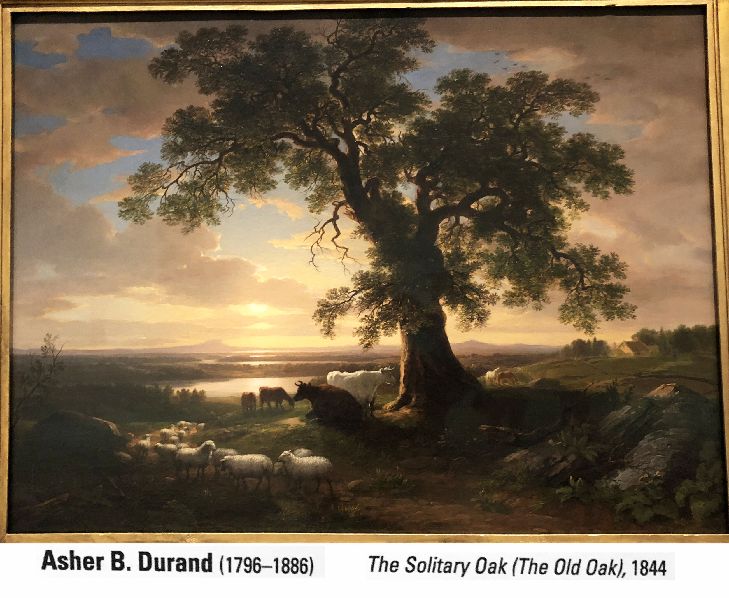 Durand - Solitary Oak.jpg