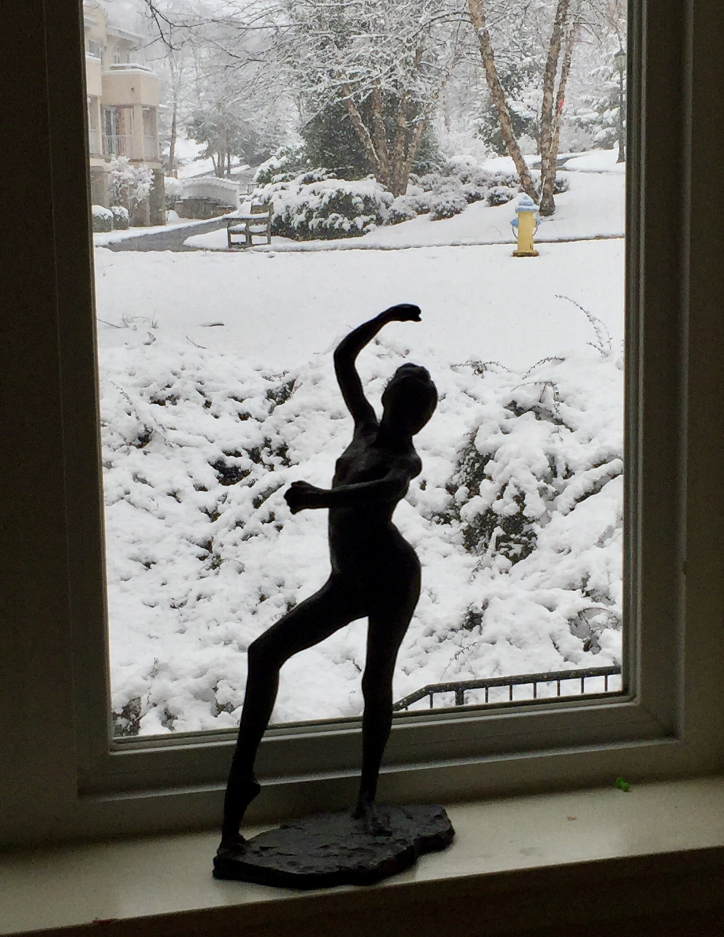 Dancer in the Window