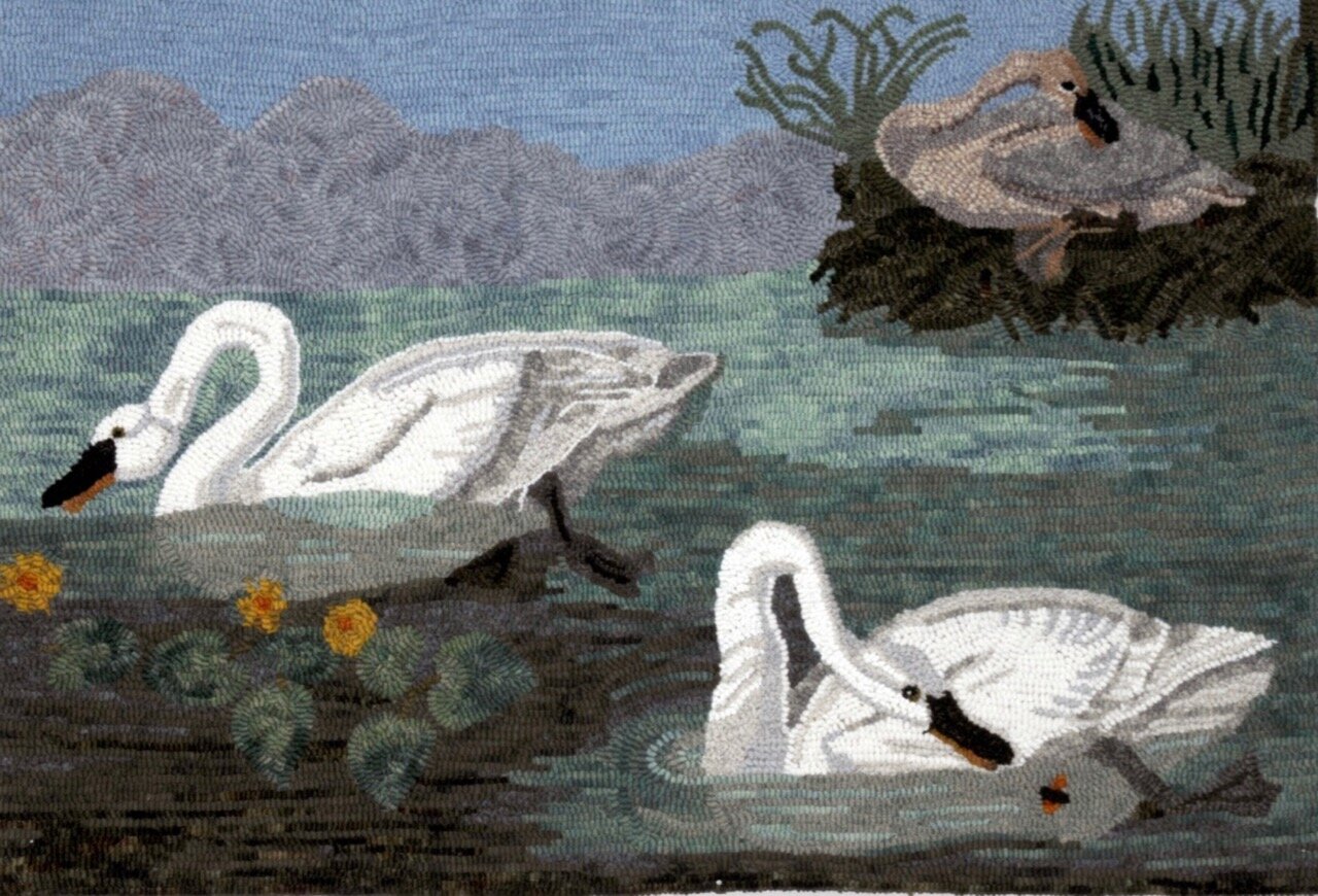 Audubon Swans