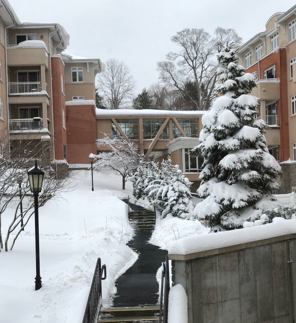 Path to the Kendal Library Tuesday February 2, 2021