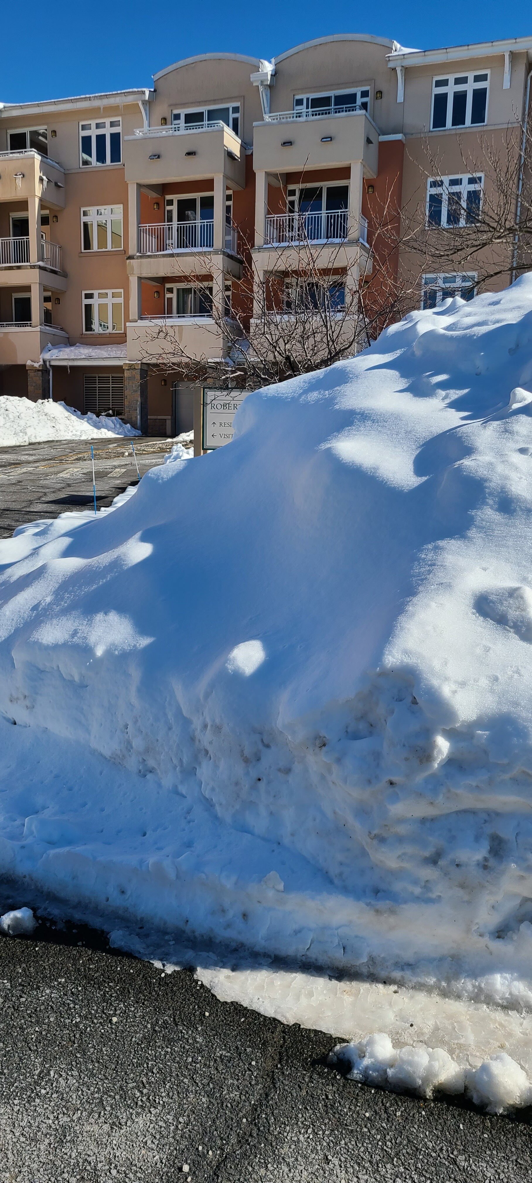 Blue Snow (reflecting the sky)