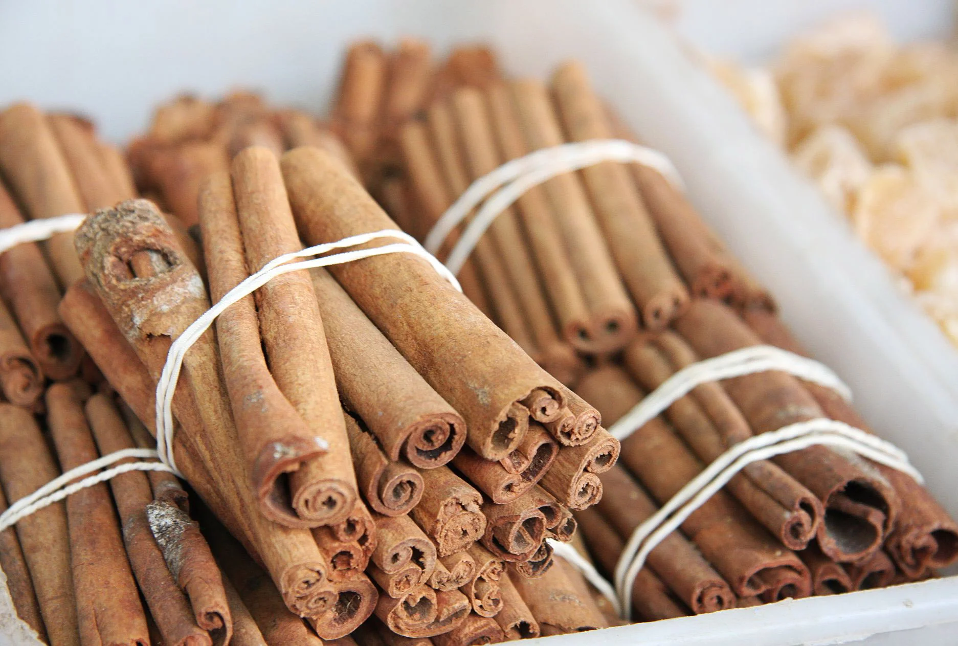 Cinnamon-rachelle robinett.jpg