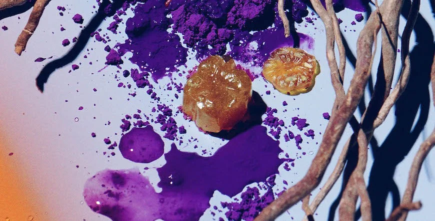herbal-gummies.jpg