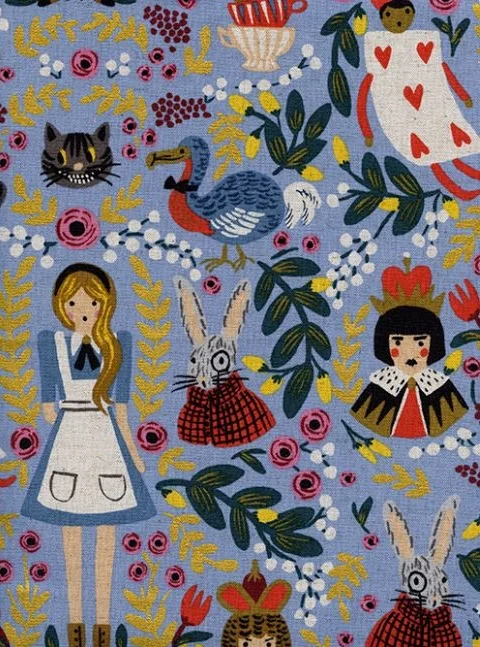 wonderland canvas.JPG