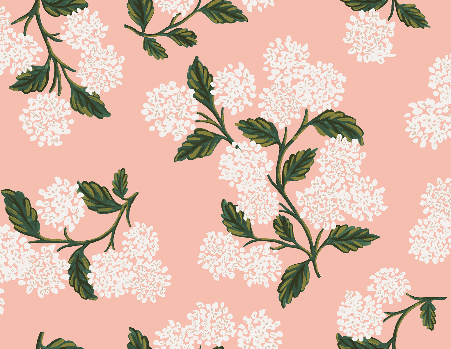 rp201bl5l_hydrangea_blush.jpg