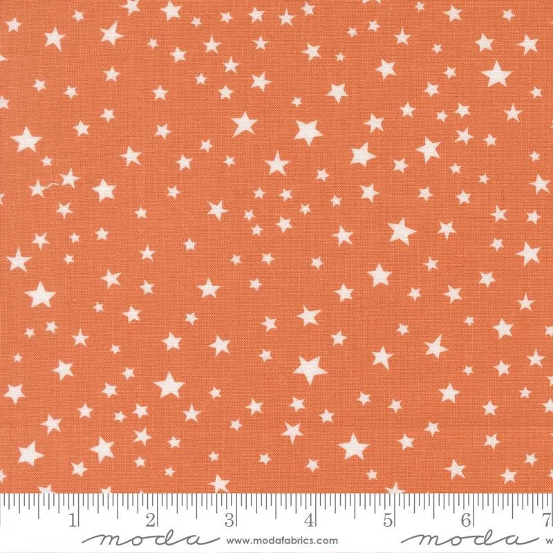 Stars Pumpkin- Purrs and Boos by Elena Amo and Moda