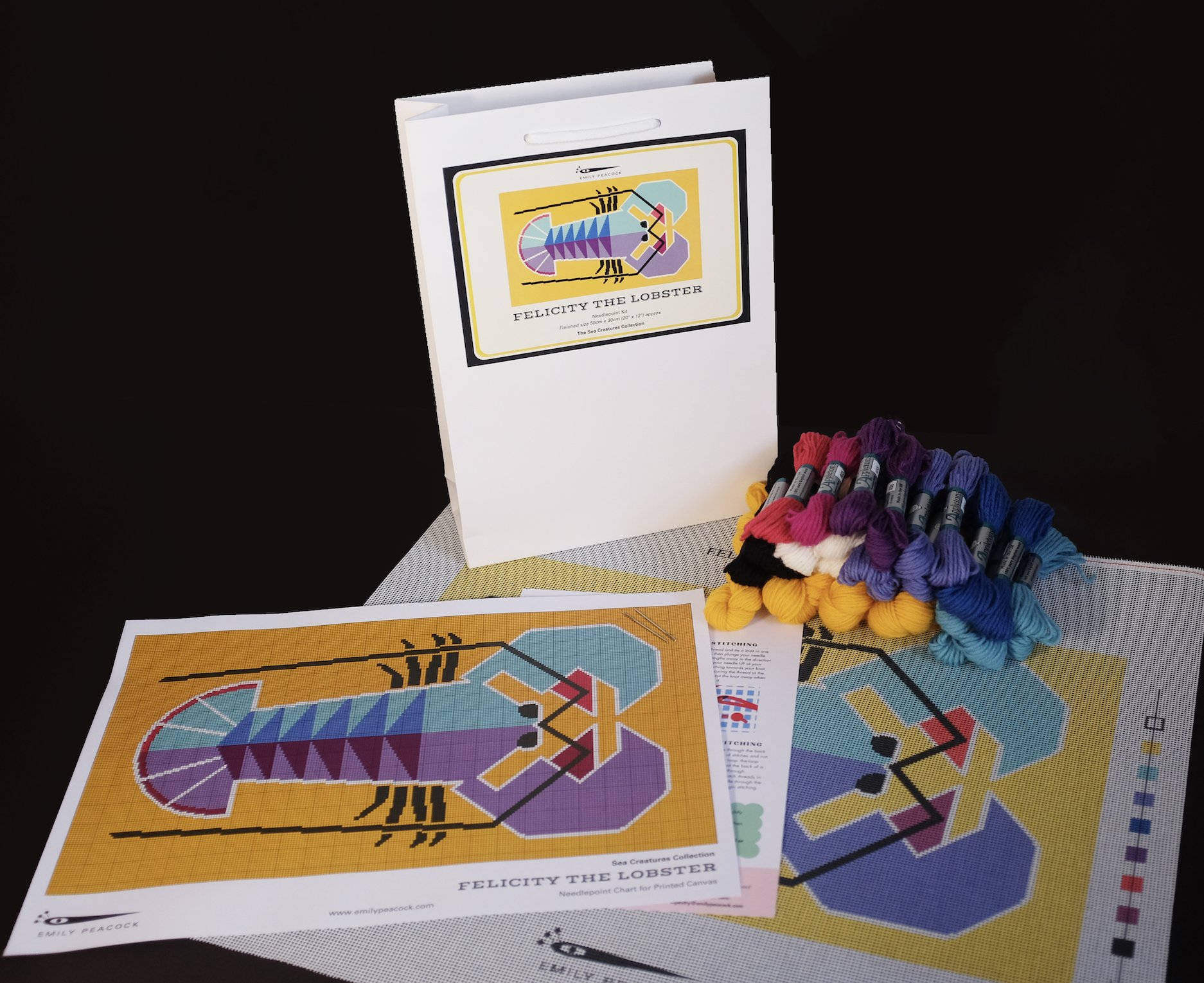 Rebecca the Jellyfish Printed Canvas Needlepoint Kit- Emily Peacock