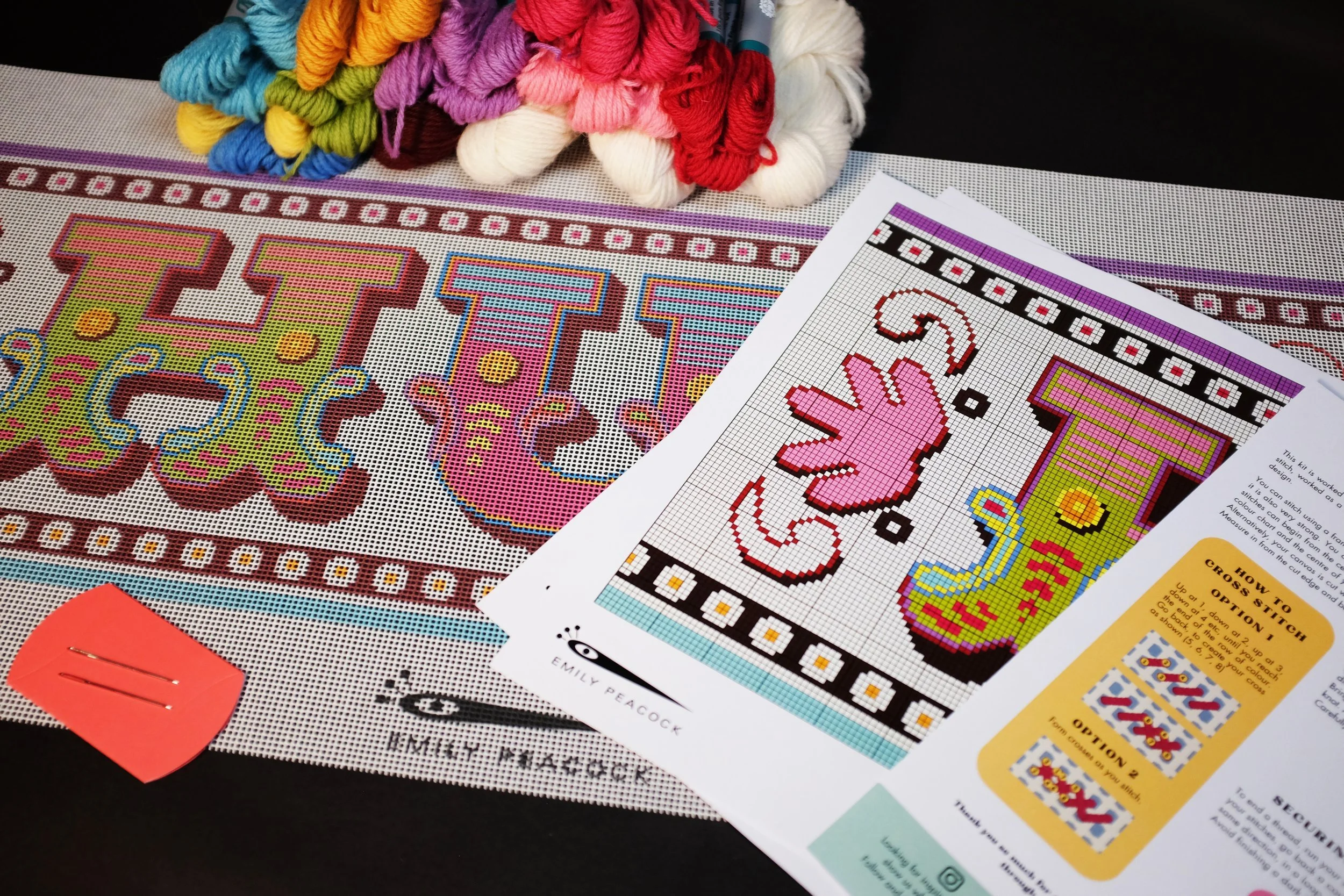 Hug Printed Canvas Needlepoint Kit- Emily Peacock