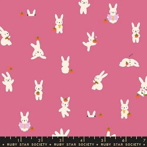 Bun E. and Simmy Hibiscus -Persimmon by Rashida Coleman Hale and Ruby Star Society