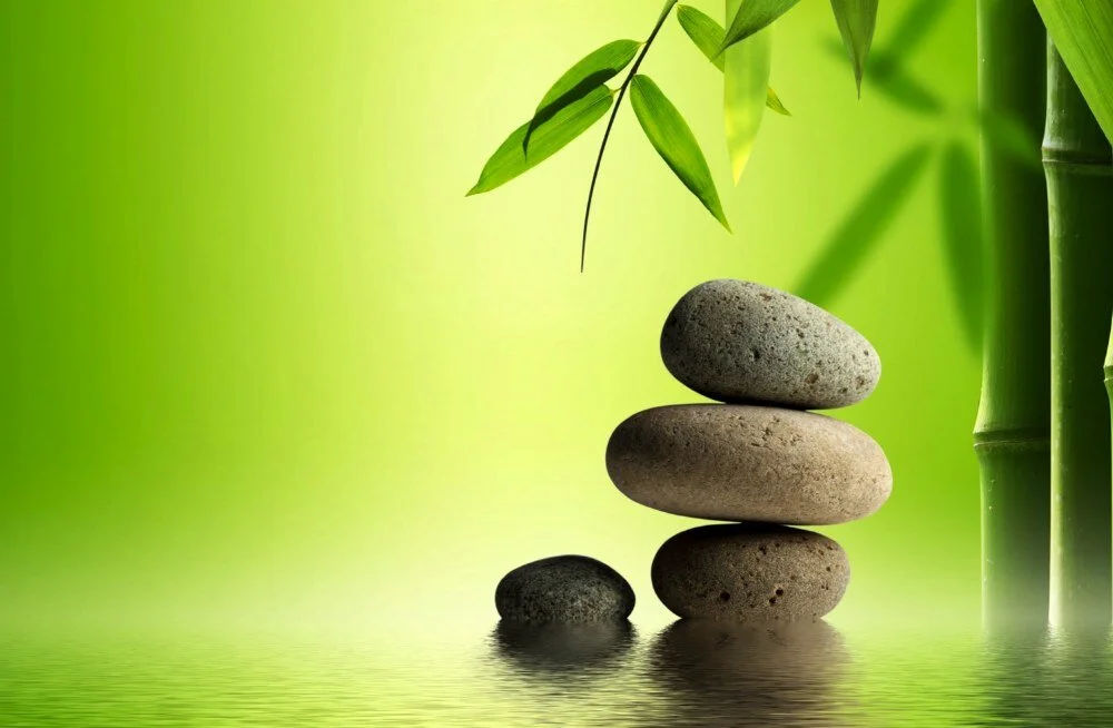 Maryland Mindfulness