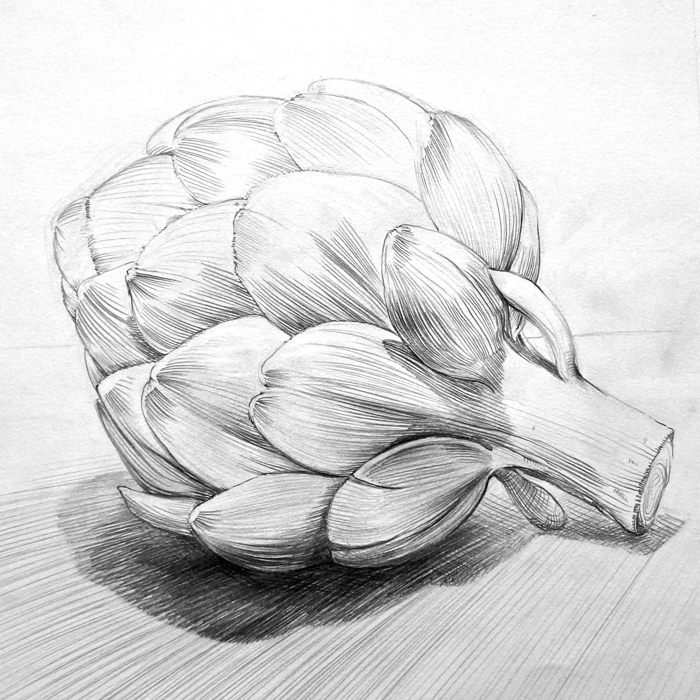 DSC00703 - Version 2.JPG